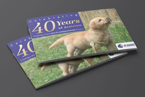 Saddle Stitch Booklets - Image 2