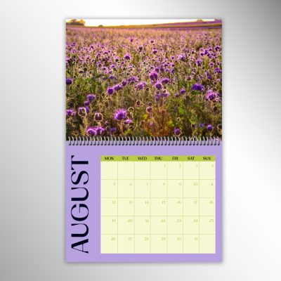 Spiral Bound Calendars